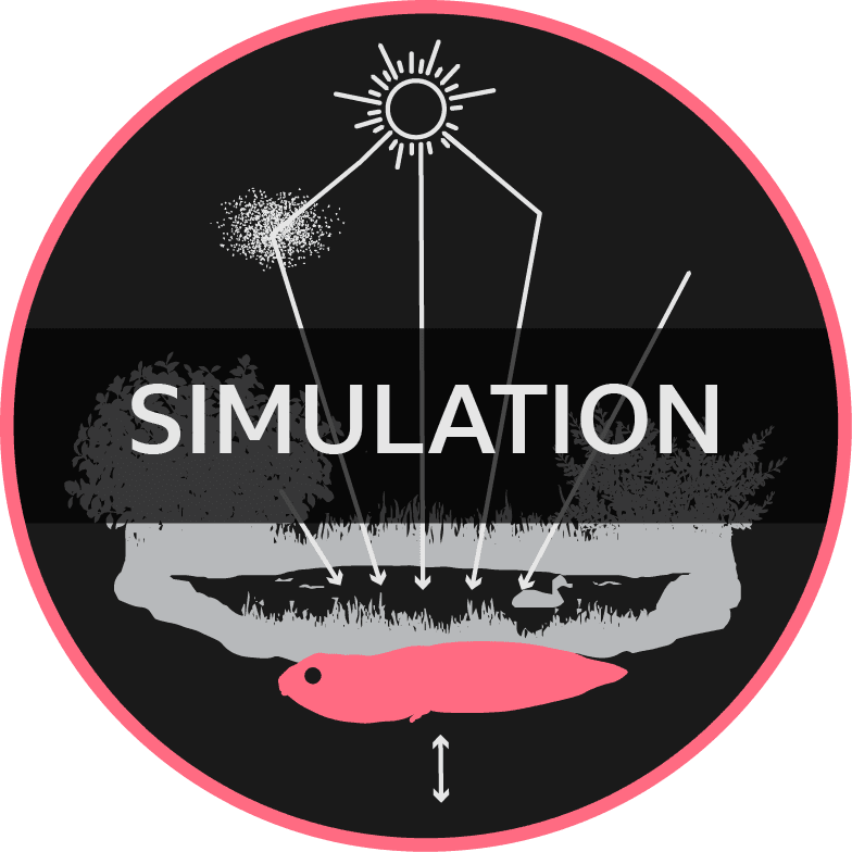 SIMULATION-BASED